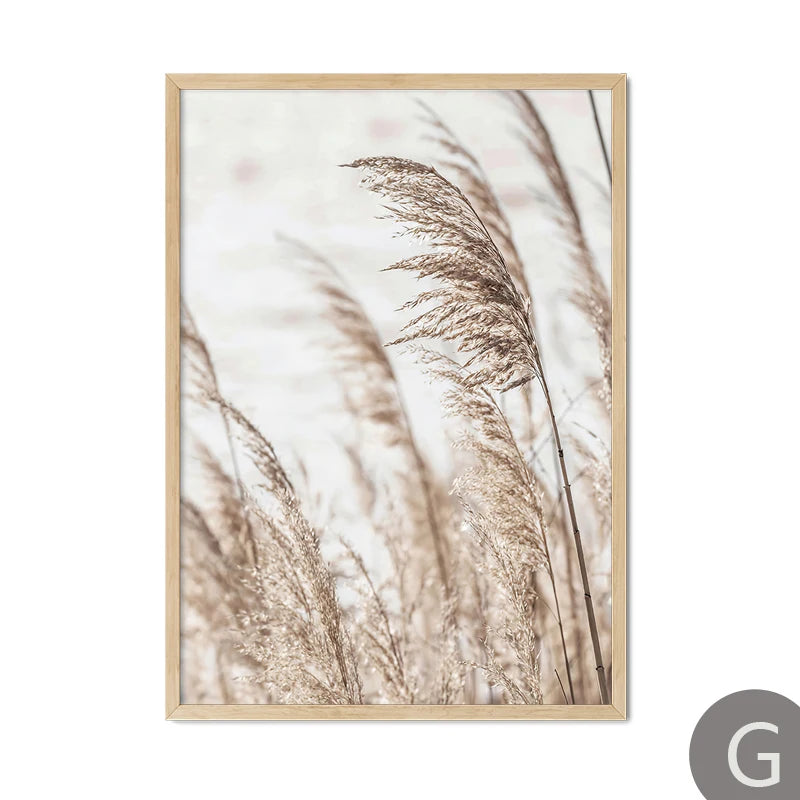 Beige Beach Girl Shell Nordic Canvas Wall Art Print Poster Landscape Leaf Reed Decor Painting Elegant Pictures for Living Room